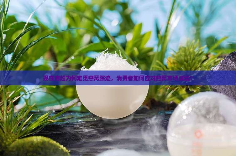 现在商超为何难觅燕窝踪迹，消费者如何应对燕窝市场波动？