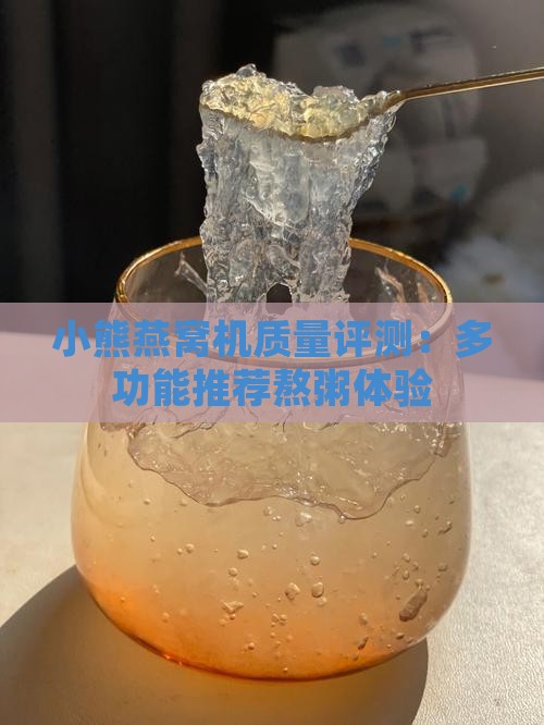 小熊燕窝机质量评测：多功能推荐熬粥体验