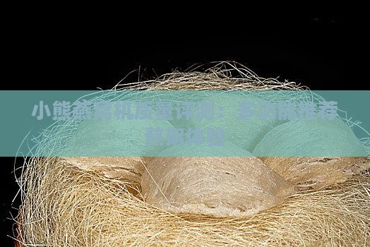 小熊燕窝机质量评测：多功能推荐熬粥体验