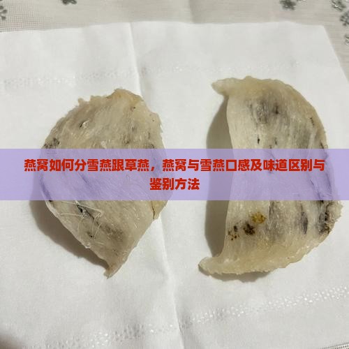 燕窝如何分雪燕跟草燕，燕窝与雪燕口感及味道区别与鉴别方法