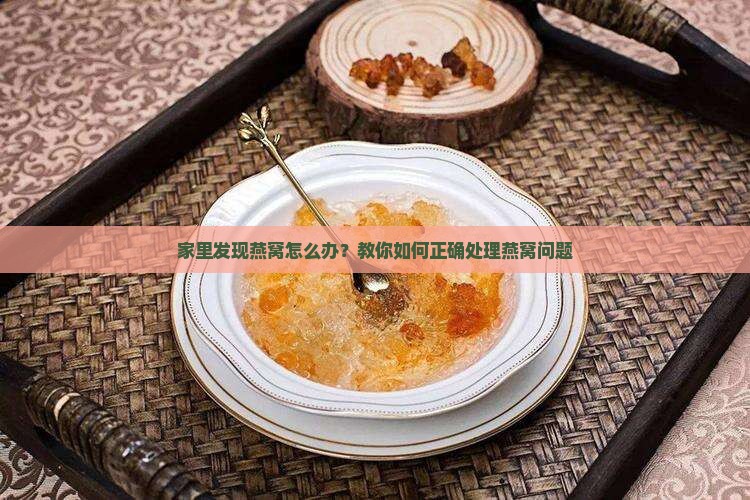家里发现燕窝怎么办？教你如何正确处理燕窝问题