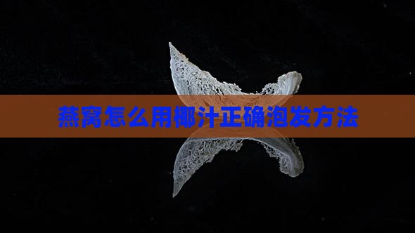燕窝怎么用椰汁正确泡发方法