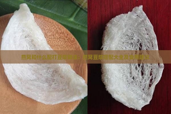 燕窝和什么配打豆浆做法：燕窝豆浆搭配大全及食用建议