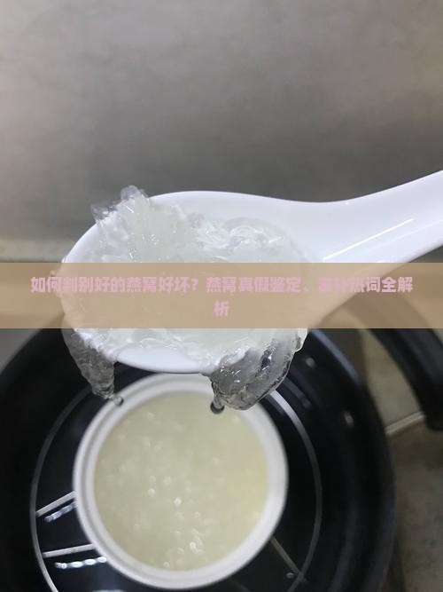 如何判别好的燕窝好坏？燕窝真假鉴定、滋补热词全解析
