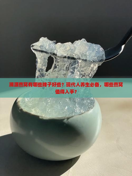 溯源燕窝有哪些牌子好些？现代人养生必备，哪些燕窝值得入手？