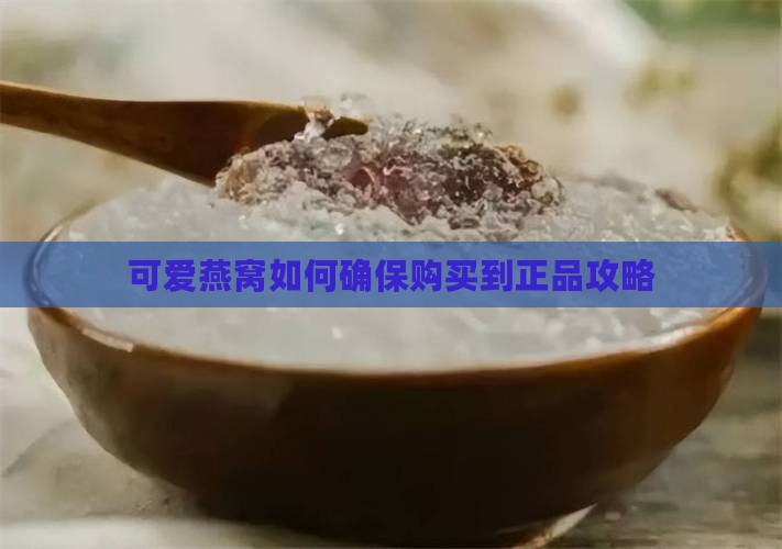 可爱燕窝如何确保购买到正品攻略