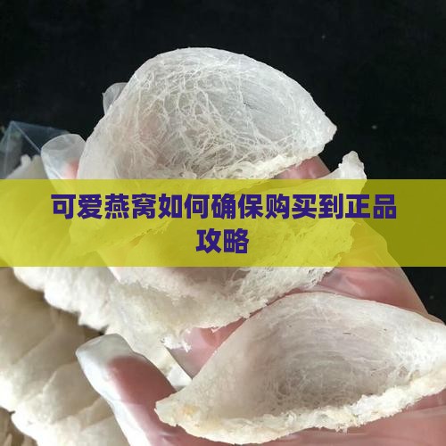 可爱燕窝如何确保购买到正品攻略