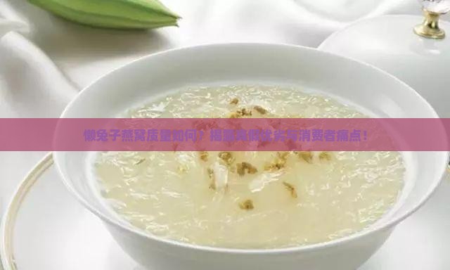 懒兔子燕窝质量如何？揭露真假优劣与消费者痛点！