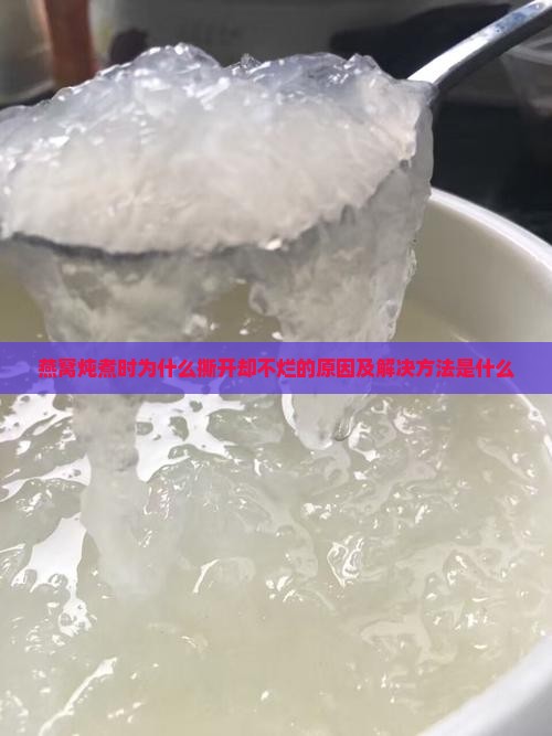 燕窝炖煮时为什么撕开却不烂的原因及解决方法是什么