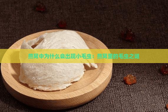 燕窝中为什么会出现小毛虫：燕窝里的毛虫之谜