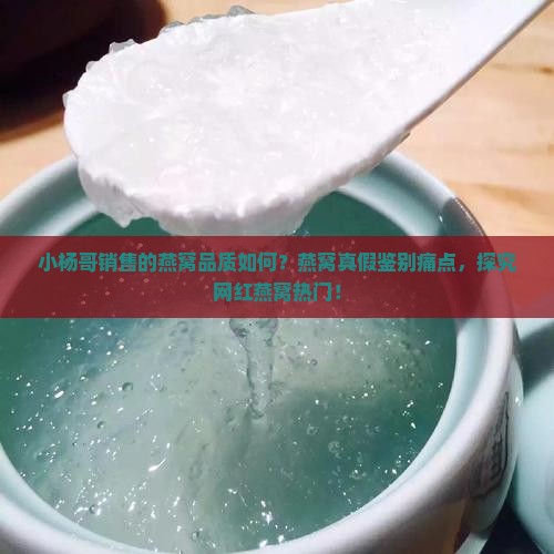 小杨哥销售的燕窝品质如何？燕窝真假鉴别痛点，探究网红燕窝热门！