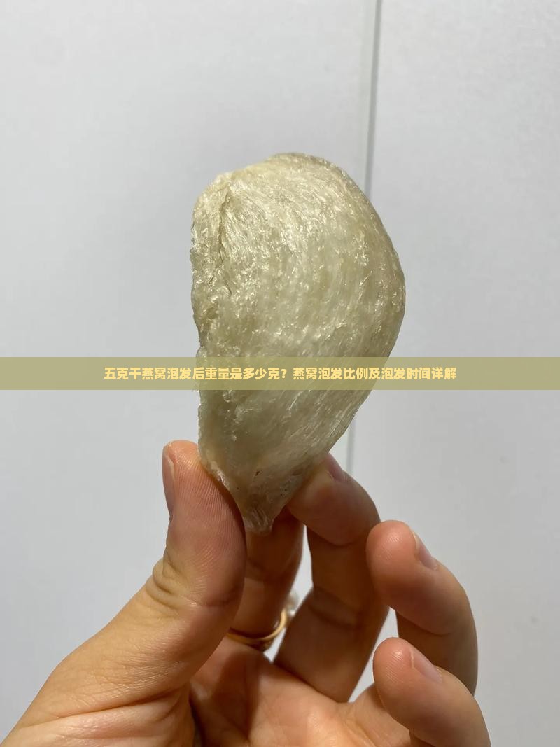 五克干燕窝泡发后重量是多少克？燕窝泡发比例及泡发时间详解