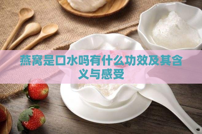 燕窝是口水吗有什么功效及其含义与感受