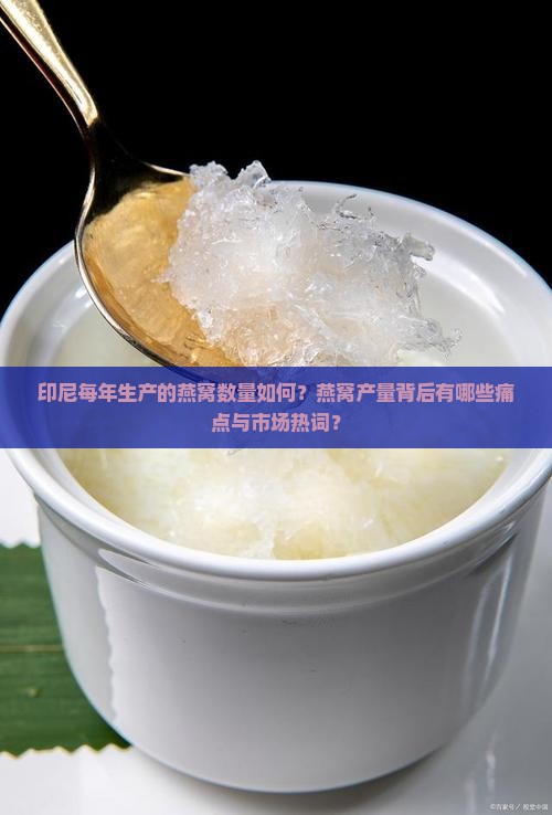 印尼每年生产的燕窝数量如何？燕窝产量背后有哪些痛点与市场热词？