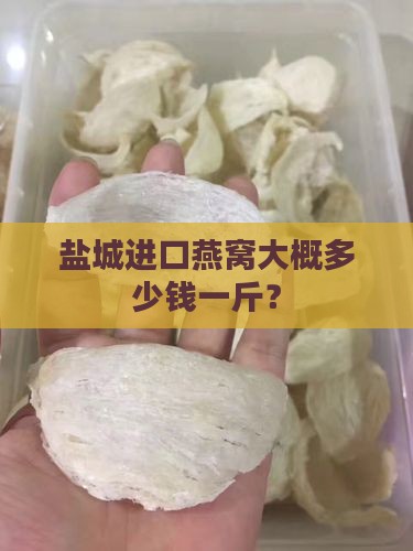 盐城进口燕窝大概多少钱一斤？