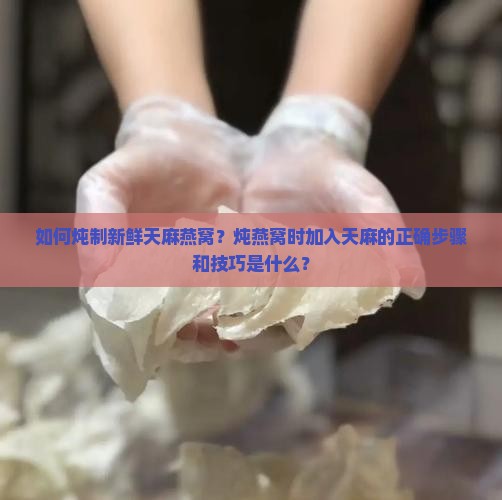 如何炖制新鲜天麻燕窝？炖燕窝时加入天麻的正确步骤和技巧是什么？
