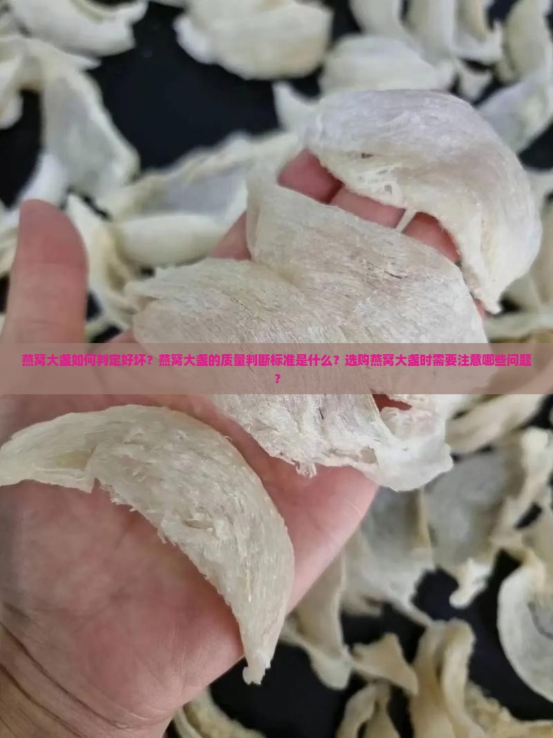 燕窝大盏如何判定好坏？燕窝大盏的质量判断标准是什么？选购燕窝大盏时需要注意哪些问题？