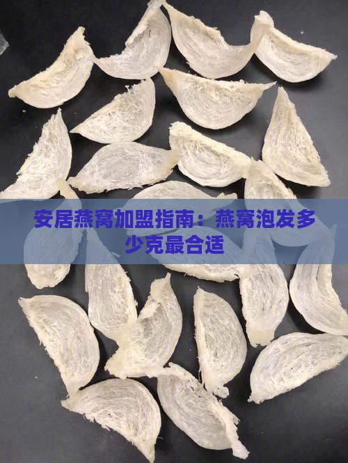 安居燕窝加盟指南：燕窝泡发多少克最合适