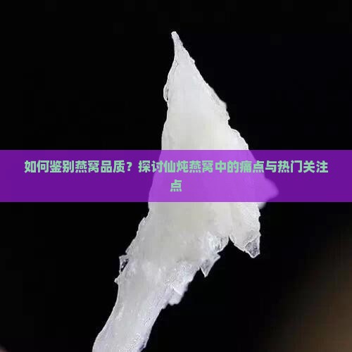 如何鉴别燕窝品质？探讨仙炖燕窝中的痛点与热门关注点