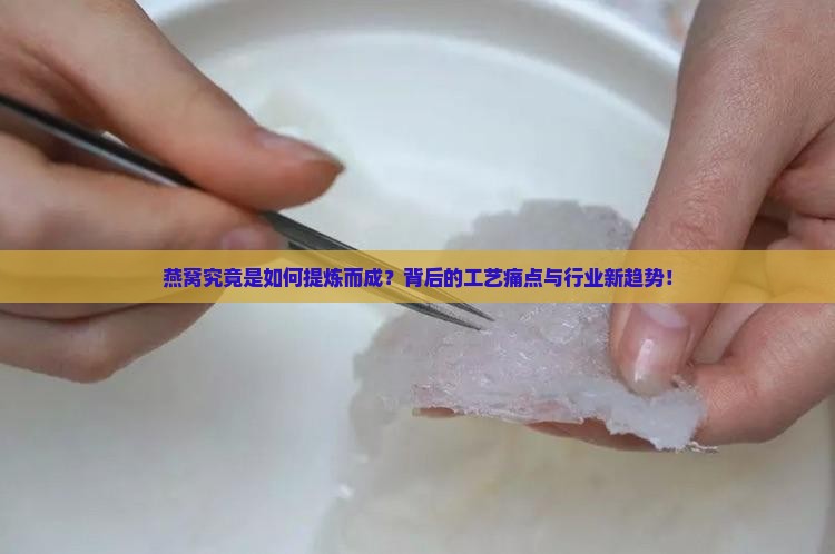 燕窝究竟是如何提炼而成？背后的工艺痛点与行业新趋势！