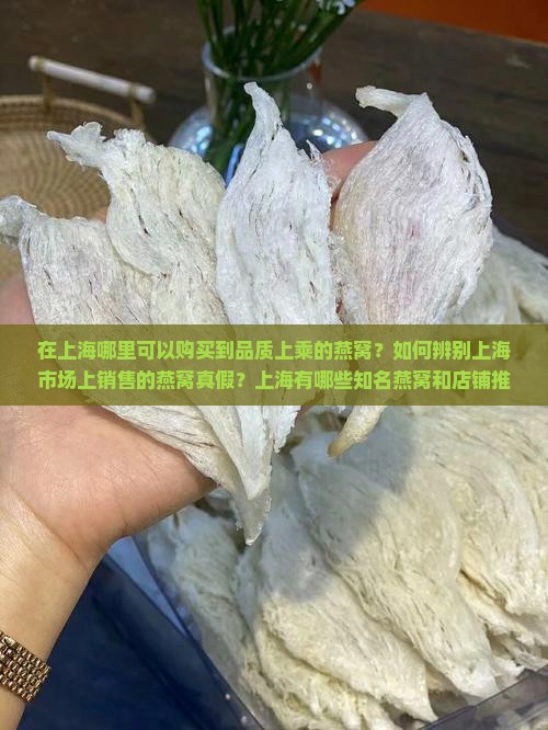 在上海哪里可以购买到品质上乘的燕窝？如何辨别上海市场上销售的燕窝真假？上海有哪些知名燕窝和店铺推荐？