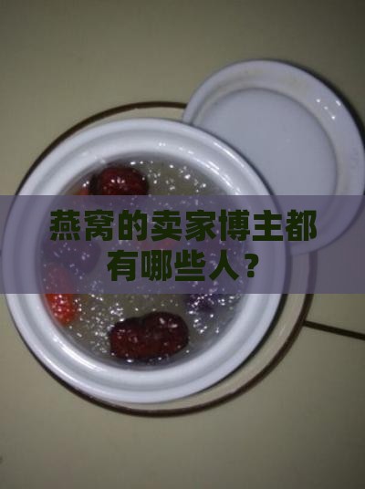 燕窝的卖家博主都有哪些人？