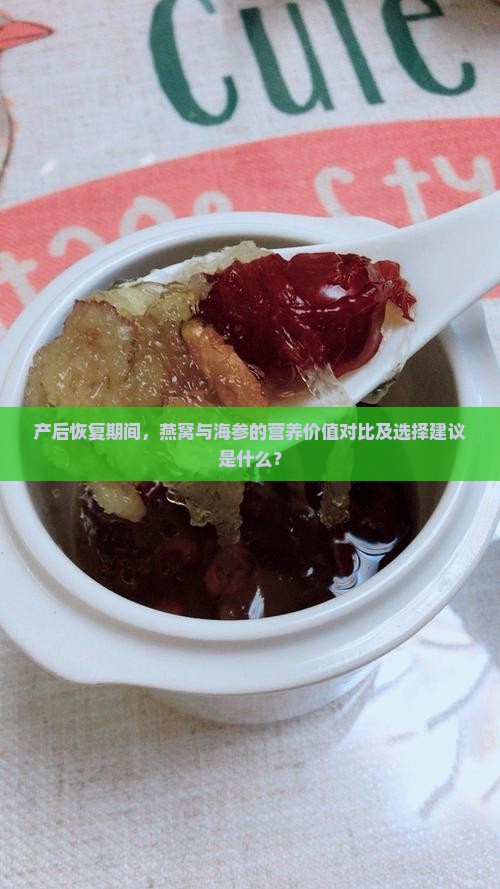 产后恢复期间，燕窝与海参的营养价值对比及选择建议是什么？