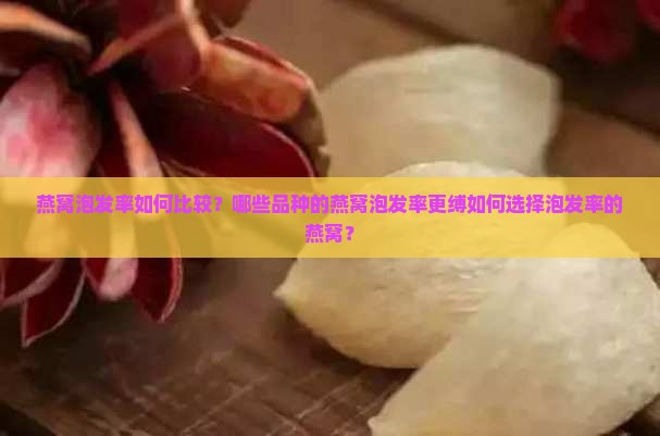 燕窝泡发率如何比较？哪些品种的燕窝泡发率更缚如何选择泡发率的燕窝？