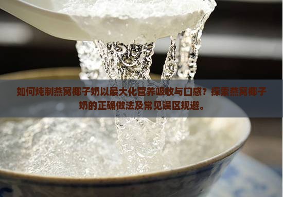 如何炖制燕窝椰子奶以最大化营养吸收与口感？探索燕窝椰子奶的正确做法及常见误区规避。