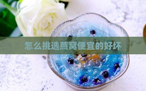 怎么挑选燕窝便宜的好坏