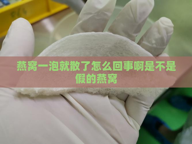 燕窝一泡就散了怎么回事啊是不是假的燕窝