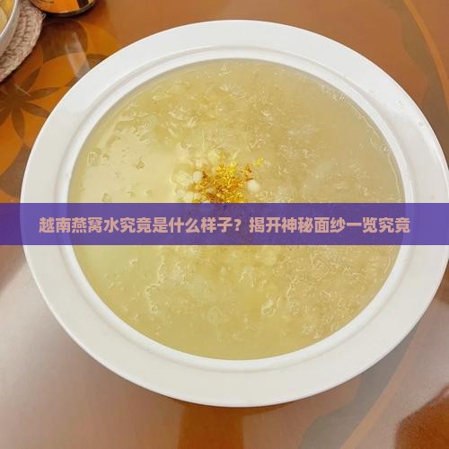越南燕窝水究竟是什么样子？揭开神秘面纱一览究竟
