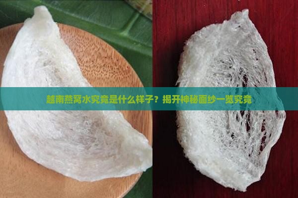 越南燕窝水究竟是什么样子？揭开神秘面纱一览究竟