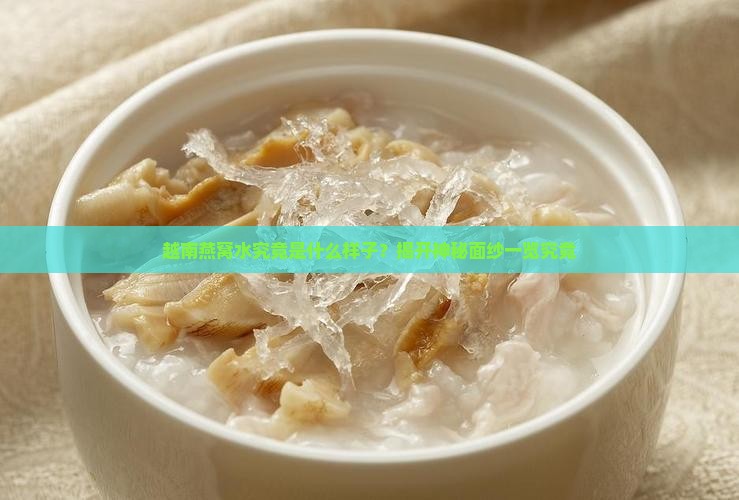 越南燕窝水究竟是什么样子？揭开神秘面纱一览究竟