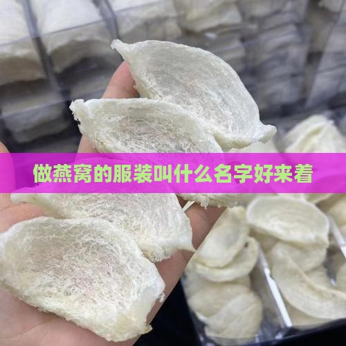 做燕窝的服装叫什么名字好来着