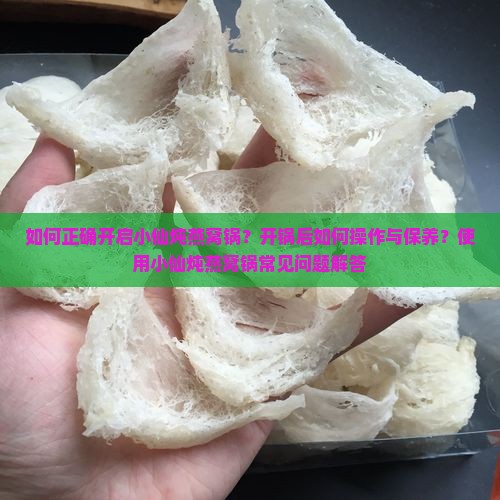如何正确开启小仙炖燕窝锅？开锅后如何操作与保养？使用小仙炖燕窝锅常见问题解答