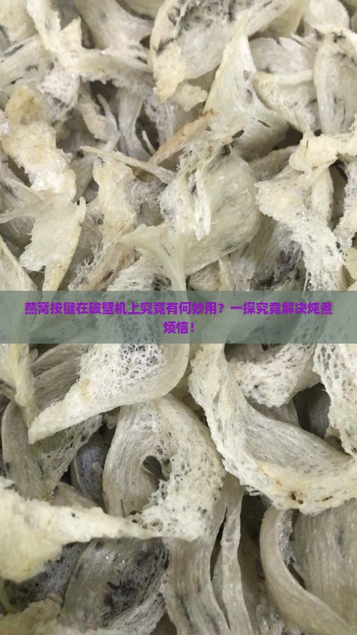 燕窝按键在破壁机上究竟有何妙用？一探究竟解决炖煮烦恼！