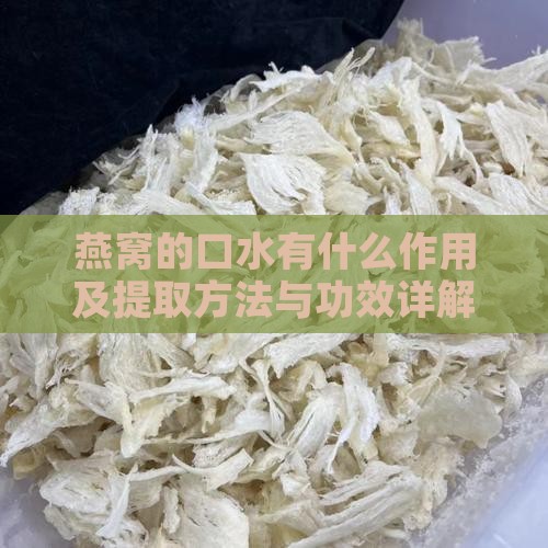 燕窝的口水有什么作用及提取方法与功效详解