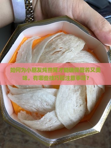 如何为小朋友炖燕窝才能确保营养又美味，有哪些技巧和注意事项？