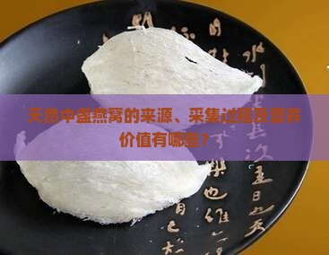 天然中盏燕窝的来源、采集过程及营养价值有哪些？