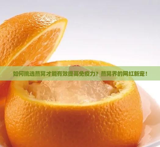 如何挑选燕窝才能有效提高免疫力？燕窝界的网红新宠！