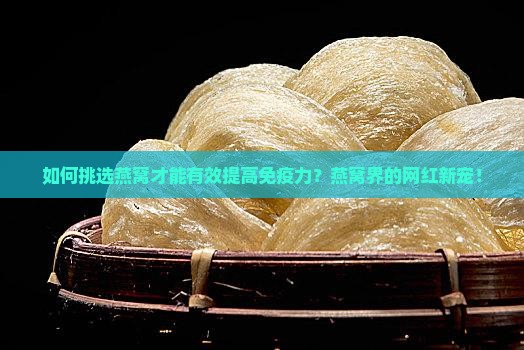 如何挑选燕窝才能有效提高免疫力？燕窝界的网红新宠！