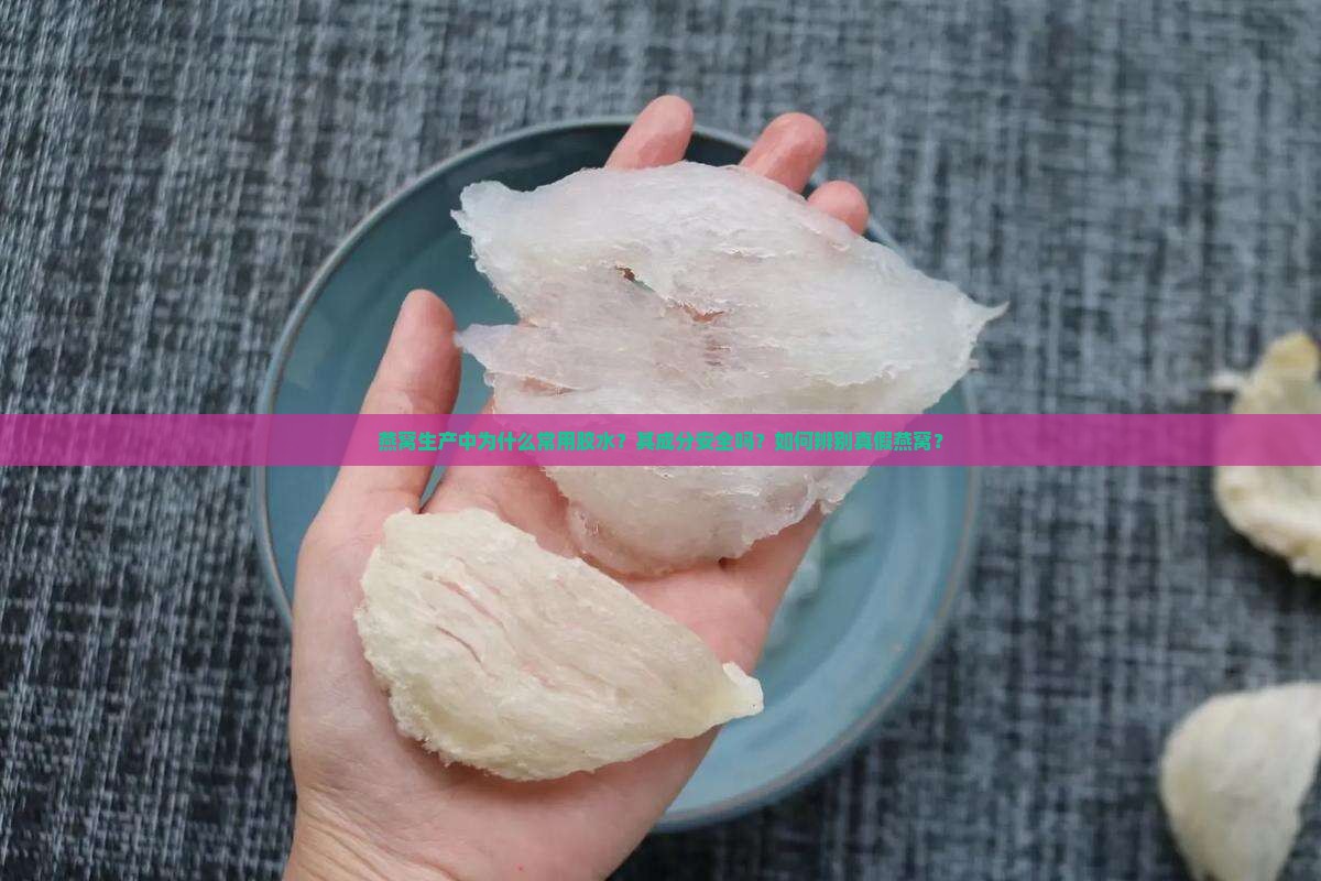 燕窝生产中为什么常用胶水？其成分安全吗？如何辨别真假燕窝？