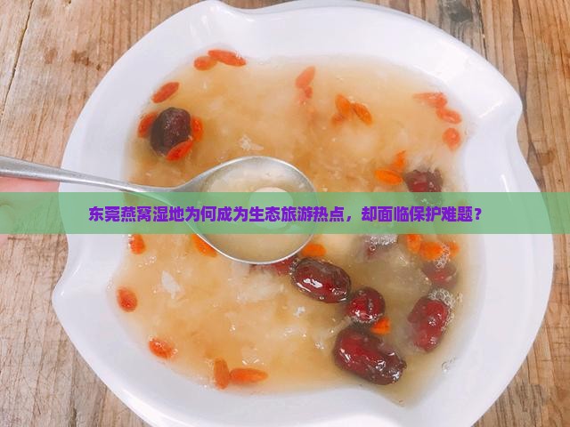 东莞燕窝湿地为何成为生态旅游热点，却面临保护难题？
