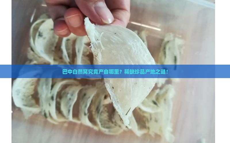 巴中白燕窝究竟产自哪里？稀缺珍品产地之谜！