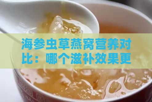 海参虫草燕窝营养对比：哪个滋补效果更佳？