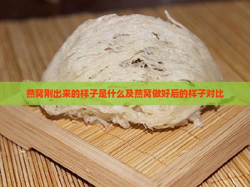 燕窝刚出来的样子是什么及燕窝做好后的样子对比