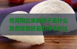 燕窝刚出来的样子是什么及燕窝做好后的样子对比