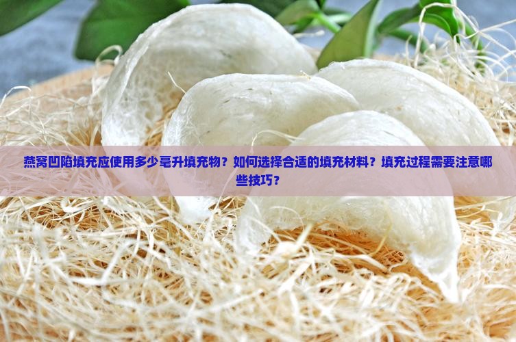 燕窝凹陷填充应使用多少毫升填充物？如何选择合适的填充材料？填充过程需要注意哪些技巧？