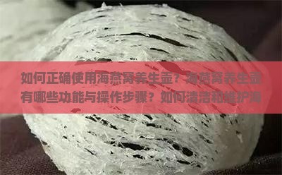 如何正确使用海燕窝养生壶？海燕窝养生壶有哪些功能与操作步骤？如何清洁和维护海燕窝养生壶？